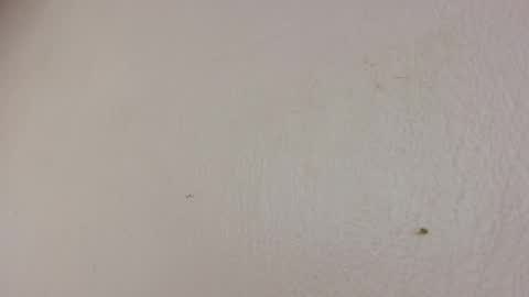 Snapshot of freaky_luna chatting on May 2026 05:25:02 AM luna online show from May 2026 05:25:02 AM