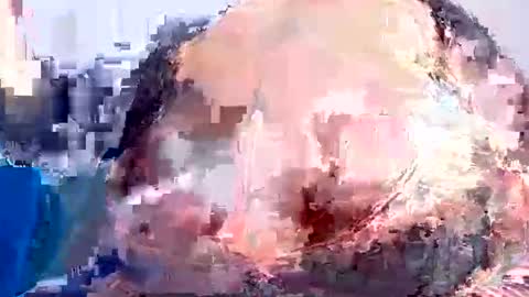 Kimmy online show from October 2025 06:25:02 AM