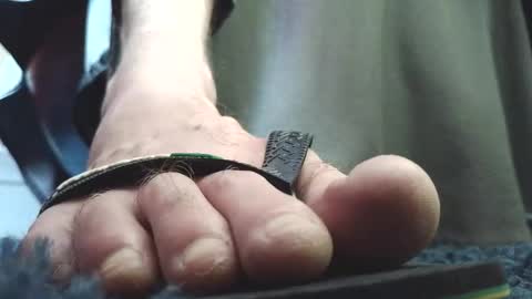 Greedy Fred online show from February 2026 02:45:01 PM