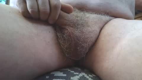 free_amos online show from March 2026 11:46:01 PM