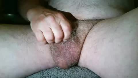 free_amos online show from July 2026 06:47:02 AM