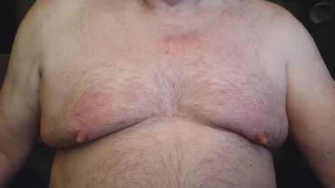 free_amos online show from August 2026 07:07:02 AM