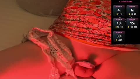 Meadow online show from December 2024 08:58:02 PM