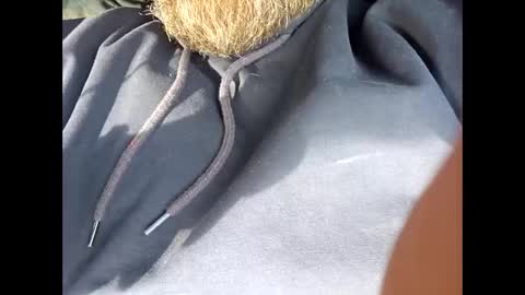 Frickish online show from November 2025 07:13:01 PM