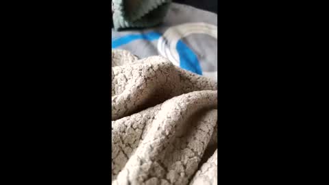 frodo7828 online show from November 2025 03:49:01 PM