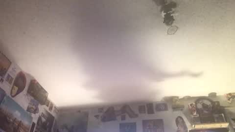 Fabian online show from July 2026 10:51:02 AM
