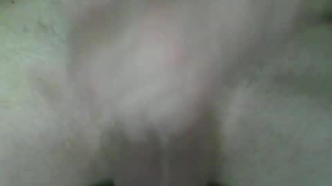 fry online show from July 2026 05:41:02 PM