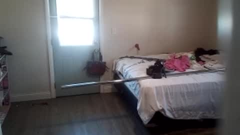 fuckroundfindout513116 online show from January 2025 05:35:01 PM