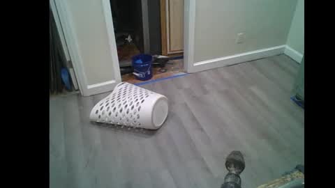 Snapshot of fuckwithmeonetime01 chatting on February 2026 10:33:02 AM fuckwithmeonetime01 online show from February 2026 10:33:02 AM