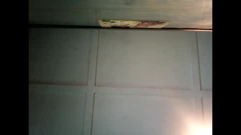 Warwick online show from December 2024 12:52:01 AM