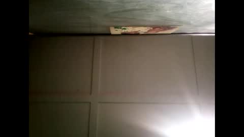 Warwick online show from December 2024 10:28:02 AM