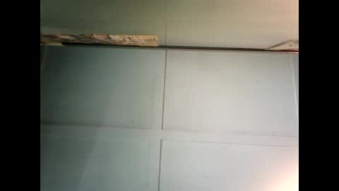 Warwick online show from December 2024 12:02:01 AM