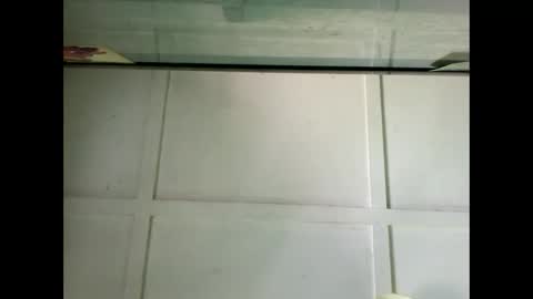 Warwick online show from December 2024 03:47:02 AM