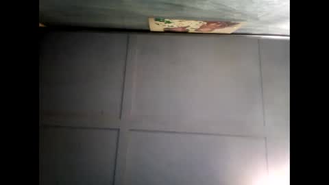 Warwick online show from December 2024 08:11:01 AM