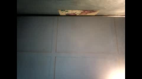 Warwick online show from December 2024 09:55:01 PM