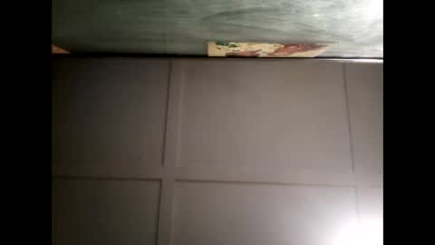 Warwick online show from December 2024 08:30:02 AM