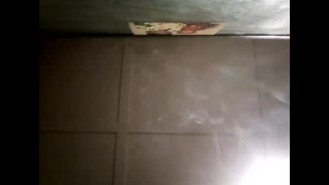 Warwick online show from December 2024 08:55:01 AM