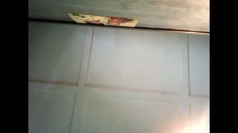 Warwick online show from December 2024 01:10:02 AM