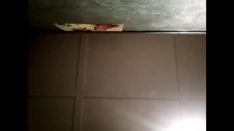 Warwick online show from December 2024 11:18:02 AM