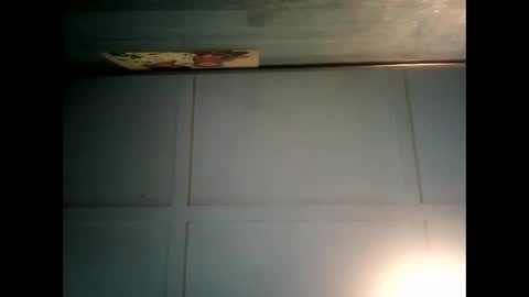 Warwick online show from December 2024 01:26:01 AM