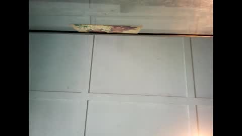 Warwick online show from December 2024 12:03:02 AM