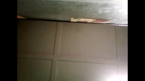 Warwick online show from December 2024 09:01:01 AM