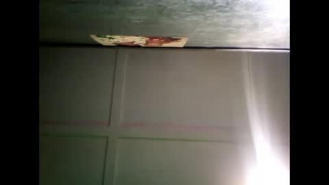 Warwick online show from December 2024 12:46:02 PM