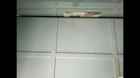 Warwick online show from January 2025 12:09:01 AM