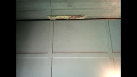 Warwick online show from January 2025 12:55:02 AM