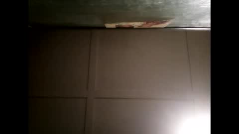 Warwick online show from January 2025 08:54:02 AM