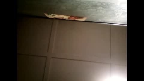 Warwick online show from January 2025 11:01:01 AM