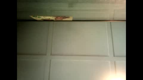 Warwick online show from January 2025 04:03:01 AM