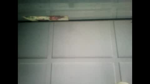 Warwick online show from February 2025 07:15:02 AM