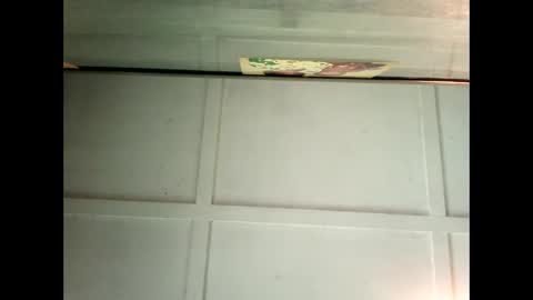 Warwick online show from February 2025 04:37:01 AM