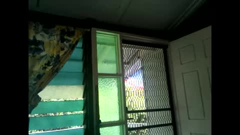 Warwick online show from February 2025 03:25:02 AM