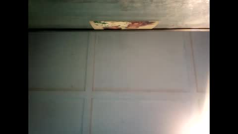 Warwick online show from February 2025 07:21:01 AM