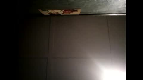 Warwick online show from February 2025 08:17:02 AM