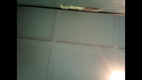 Warwick online show from February 2025 06:25:02 AM