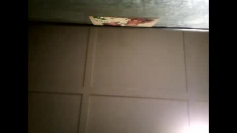 Warwick online show from March 2025 10:35:02 AM