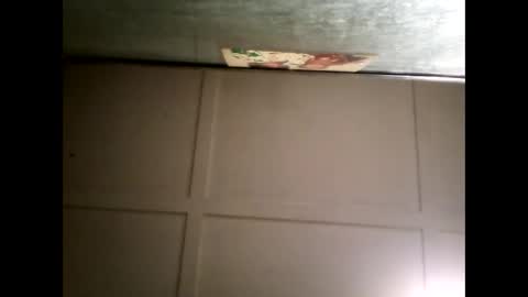 Warwick online show from March 2025 11:49:02 AM