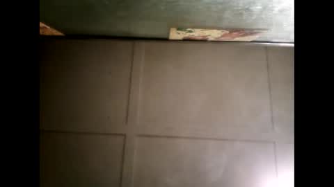 Warwick online show from March 2025 11:20:01 AM