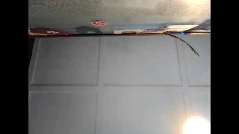 Warwick online show from September 2025 02:56:02 AM