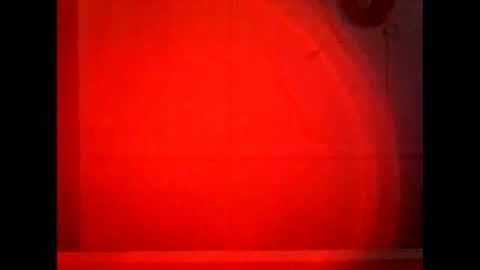 Warwick online show from September 2025 09:00:02 AM