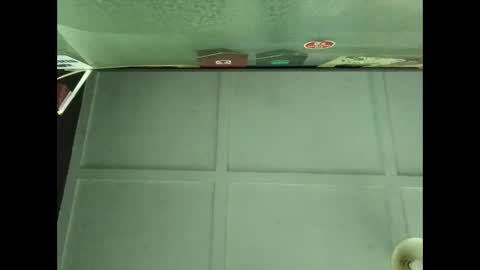 Warwick online show from September 2025 05:01:02 AM