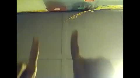 Warwick online show from October 2025 08:03:01 AM