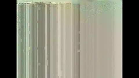 Warwick online show from November 2025 07:58:01 AM