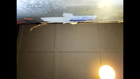 Warwick online show from November 2025 09:23:01 AM