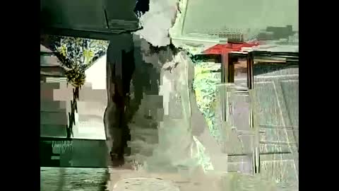 Warwick online show from February 2026 12:48:01 AM