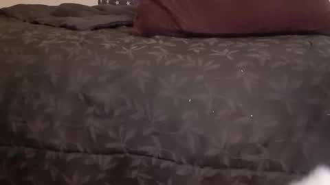 Pizzaz online show from January 2025 07:06:02 AM