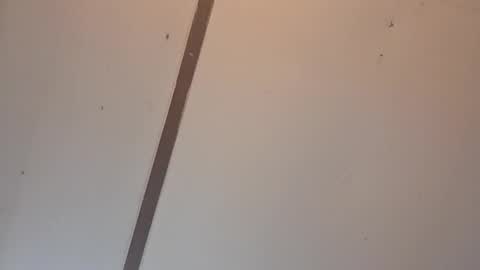 Astrid online show from April 2026 02:09:01 AM